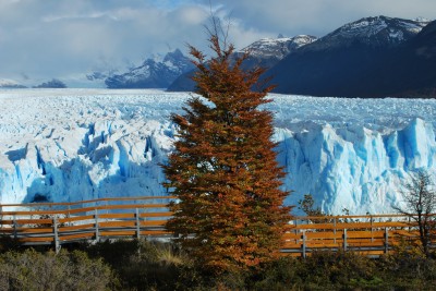 IRENA anuncia convocatoria de financiación para renovables en los países en desarrollo