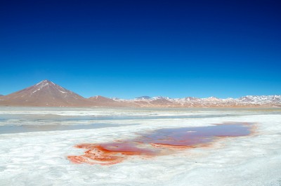 Laguna Colorada podría empezar a construirse en 2015, Bolivia