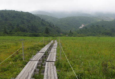 Sumitomo Forestry planea una planta de geotermia de 2 MW en Japón