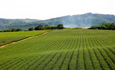 Pequeña unidad geotérmica, de 30kW, abre camino para un mayor desarrollo en Taiwán