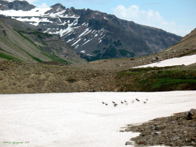 Publicación en revista nature del CEGA propone la clasificación de los volcanes para ayudar a la prospección geotérmica